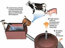 Informe favorable para una planta de aprovechamiento de biogás en Navia