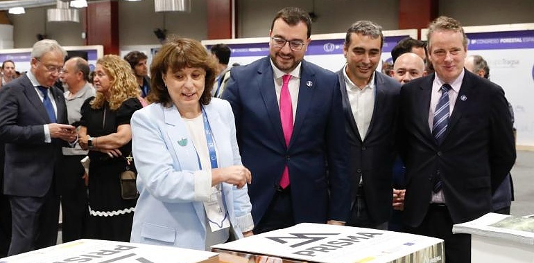 Asturias redobla su lucha contra la peste del pino con nuevas especies resistentes y talas escalonadas para evitar el colapso del mercado