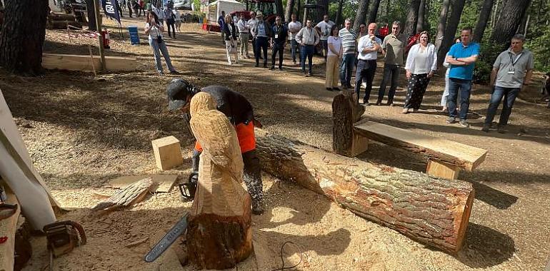 Asturias invierte más de 30 millones en el sector forestal para fomentar el desarrollo rural y combatir los incendios
