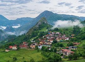 Asturias crea la Reserva Regional de Caza de Amieva: 7.390 hectáreas de conservación, biodiversidad y desarrollo rural