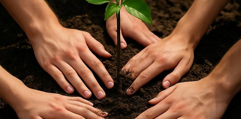 Doce jóvenes desempleados trabajarán en un proyecto ecológico pionero en Oviedo durante los próximos diez meses