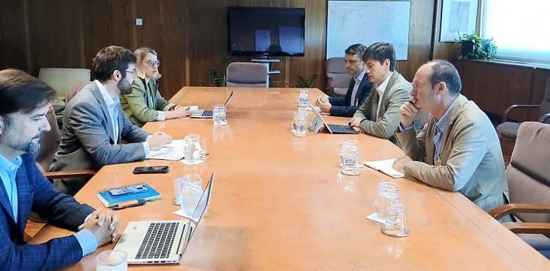 Asturias exige al Gobierno central una red eléctrica moderna para no perder el tren de la descarbonización industrial