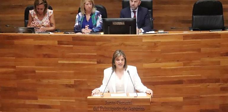 La Ley Simplifica de Llamedo avanza en la Junta como apuesta por una Asturias más ágil y moderna