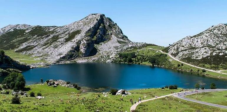 El Principado invertirá 1,7 millones en la conservación de la biodiversidad del parque nacional de los Picos de Europa