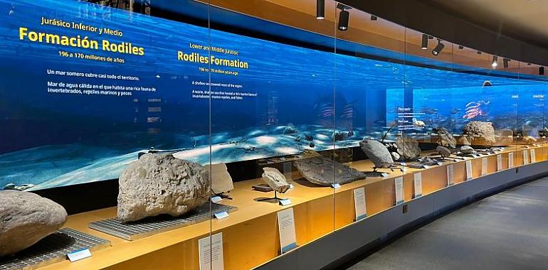 El MUJA se actualiza con una ambiciosa renovación tecnológica para mejorar la experiencia del visitante