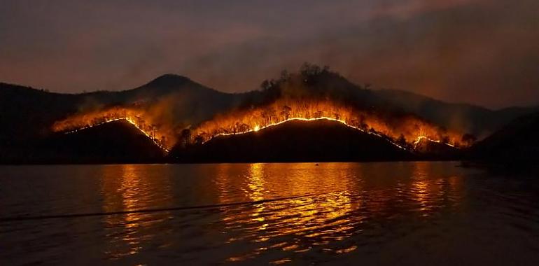  Alerta máxima por incendios forestales: Asturias moviliza la UME y eleva emergencia del INFOPA