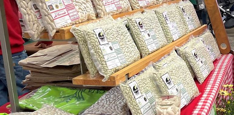 Medio Rural concede una ayuda extraordinaria de 568.000 euros a los productores de faba asturiana y verdina para paliar las pérdidas por las lluvias