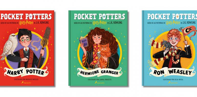 Pocket Potters: Guías de las historias de Harry Potter