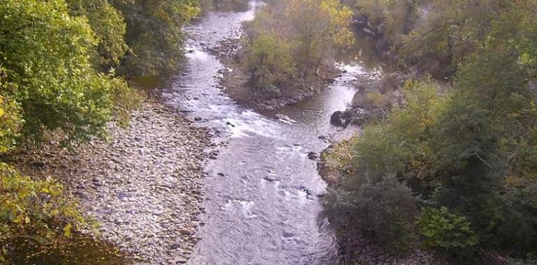 Refuerzo a la defensa de Arriondas con 1,5 millones para prevenir inundaciones del Sella y el Piloña