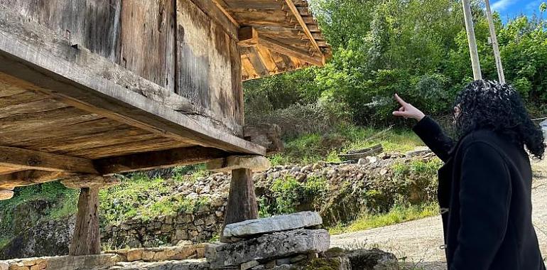 Asturias celebra la declaración de los hórreos del norte peninsular como patrimonio cultural inmaterial en proceso de reconocimiento nacional