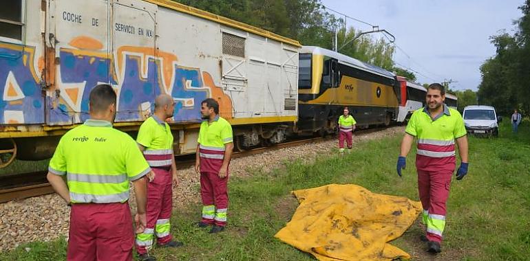 El hallazgo de un cadáver tras el insólito accidente del tren con una vaca sacude Gijón