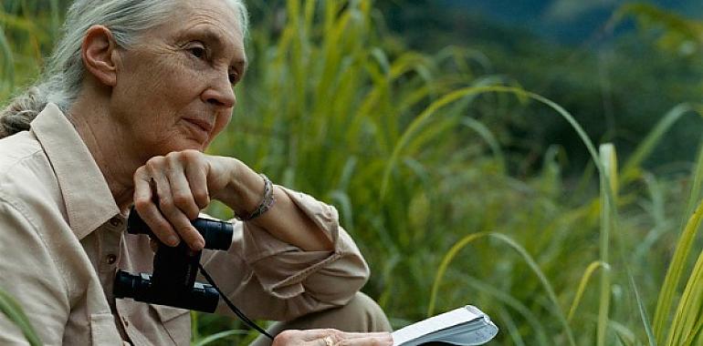 Adiós a Jane Goodall, la dama que nos enseñó a mirar a los primates