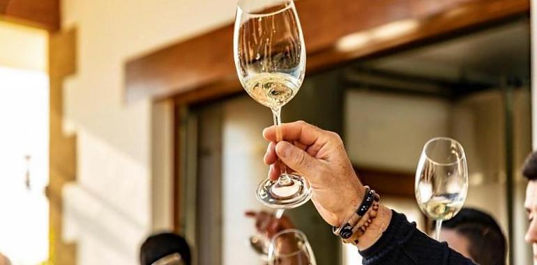 Ruta del Txacolí en Bilbao: del viñedo atlántico al brindis perfecto