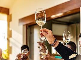 Ruta del Txacolí en Bilbao: del viñedo atlántico al brindis perfecto
