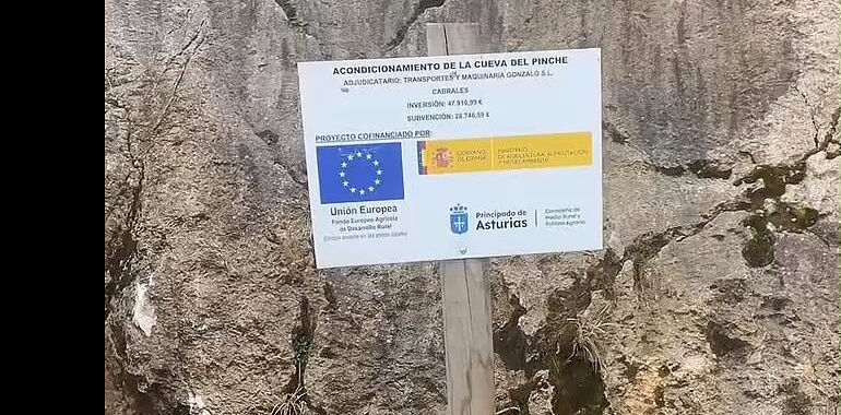 El Principado impulsa la modernización del queso Cabrales con una inversión de más de 250.000 euros en cuevas y promoción