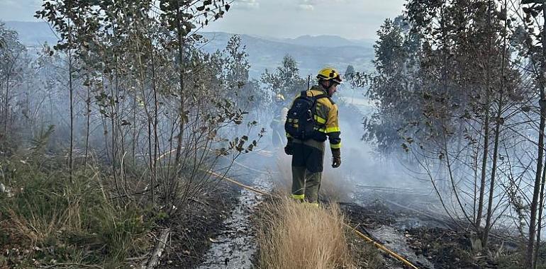 El Monte Areo despierta tras el fuego: 40 hectáreas calcinadas, vigilancia activa y una investigación abierta en Gijón