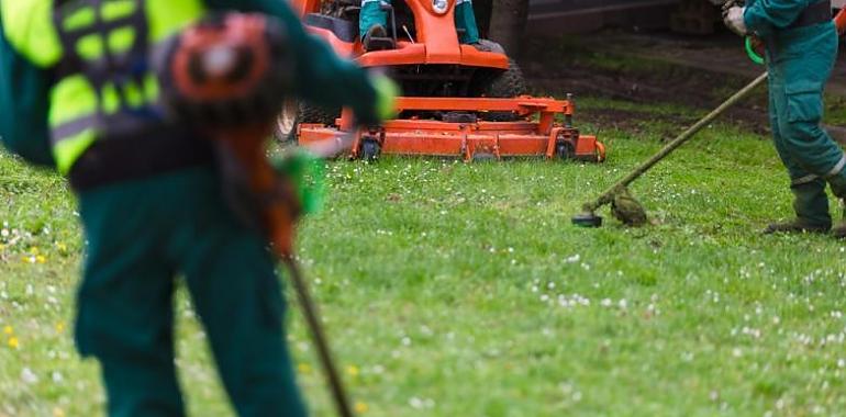 El Sepepa destina 5,3 millones a diez escuelas taller que ofrecerán empleo y formación a 253 jóvenes asturianos durante un año