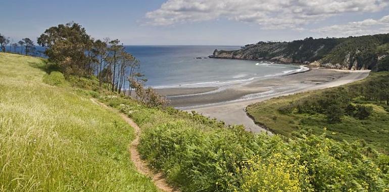 Un ganadero jubilado de 77 años, “devoto” del mar, muere mientras pescaba en los acantilados de Valdés