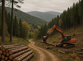 Medio Rural destina 435.800 euros al plan de ordenación del monte Carbayal, Pastur y Entrerríos en Illano para reforzar la prevención de incendios y la ganadería sostenible