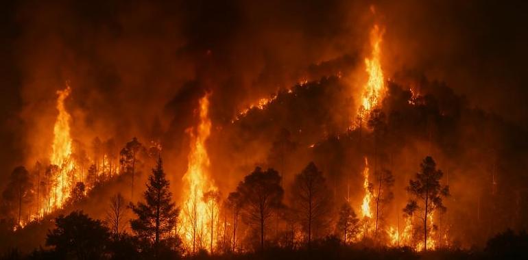 Ocho años de cárcel por incendiar el Monte Naranco: la condena más dura por un fuego forestal en Asturias