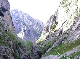 Tragedia en Cabrales: una mujer de 44 años muere al caer con su perro al vacío en la Canal del Texu