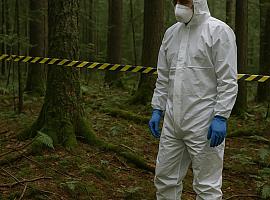 ¿Un bocadillo, un laboratorio… o algo más El brote de peste porcina en Collserola desata las preguntas que nadie quiere hacer