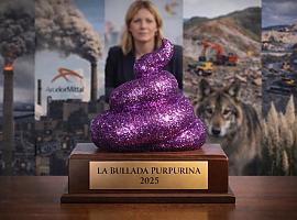 La Coordinadora Ecoloxista d’Asturies convoca el premio La Bullada Purpurina 2025, el “anti-galardón” a las mayores agresiones ambientales del año
