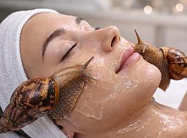 Caracoles gigantes en la cara: la moda beauty más surrealista (y polémica) que promete juventud eterna