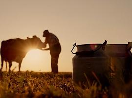 Asturias blinda la recogida de leche en la montaña con 177.000 euros para sostener casi 300 ganaderías