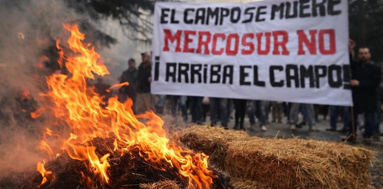 Oviedo tomado por el campo: 200 tractores, seis horas de bloqueo y un grito unánime contra el acuerdo UE-Mercosur