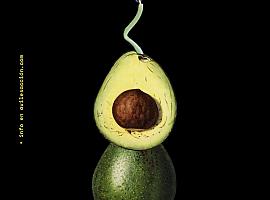 Avilés Acción cumple 25 años y se refuerza como referente del cortometraje nacional con una nueva sección de animación