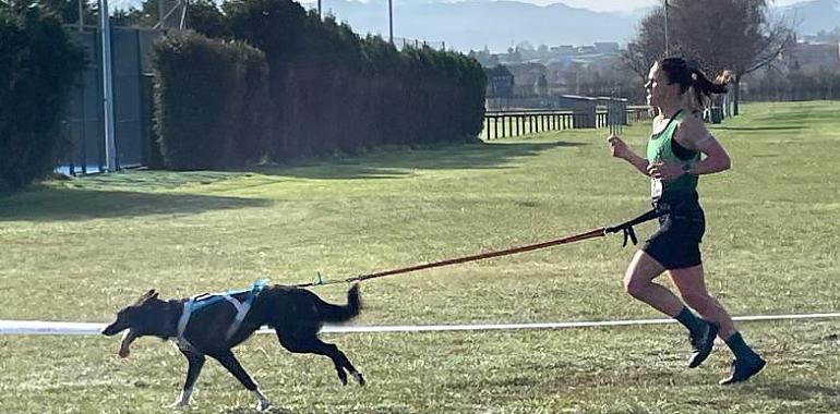 La Morgal se llena de perros, bicicletas y adrenalina: así fue la espectacular Copa de Asturias de Mushing 2026