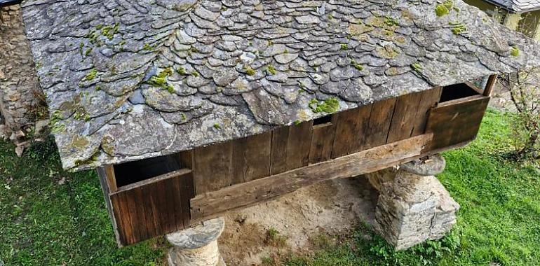 Asturias rescata su alma rural: más de 100 hórreos en ruinas renacen para salvar el patrimonio tradicional