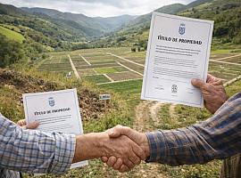 Revolución silenciosa en el campo asturiano: Allande transforma más de 800 fincas en solo 97 y abre una nueva etapa para el medio rural