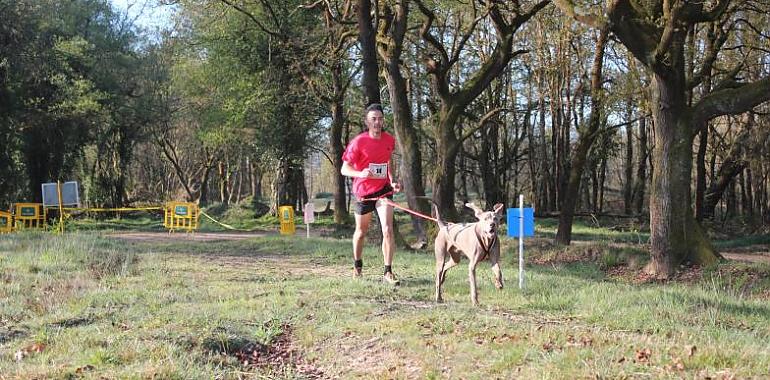 El mushing conquista Asturias con fuerza: más de 60 deportistas llenan Cabo Noval en una jornada vibrante
