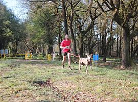 El mushing conquista Asturias con fuerza: más de 60 deportistas llenan Cabo Noval en una jornada vibrante