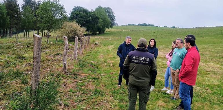 Asturias planta cara al fuego desde el monte: el modelo silvopastoral gana terreno en el Navia con inversión europea y resultados visibles