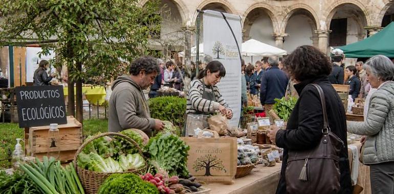 Raíces se convierte en el gran escaparate ecológico de Asturias: vuelve el mercado que conecta campo, tradición y consumo consciente
