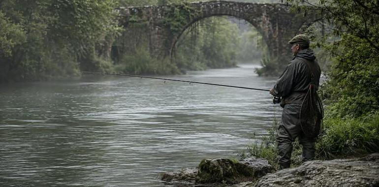 El campanu que no llega: Asturias vive la peor crisis salmonera de su historia mientras crece el temor a la desaparición del “rey del río”