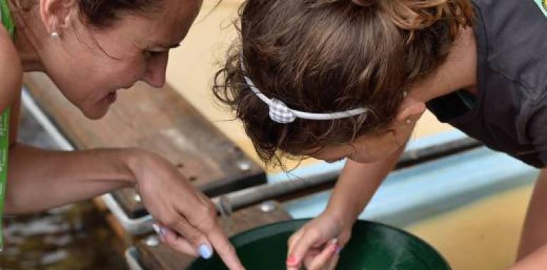 Navelgas vuelve a buscar oro: 250 bateadores convierten el occidente de Asturias en capital de una tradición milenaria