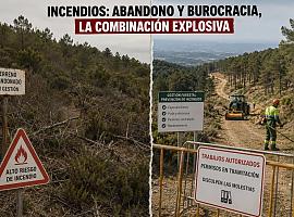 Ni Agenda 2030 ni monte intocable: la verdadera pólvora de los incendios es el abandono rural