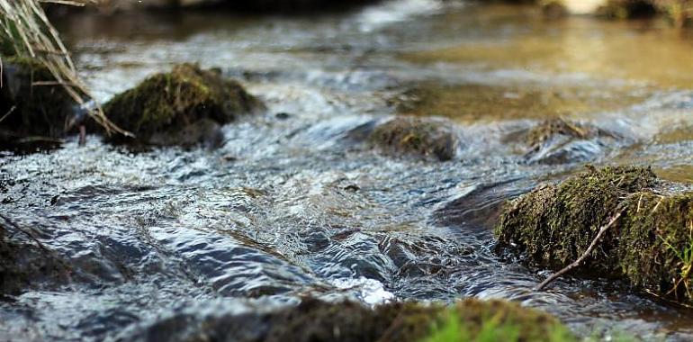 El proyecto tecnológico de Salas abre el debate sobre el consumo de agua en Asturias