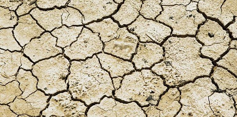 Asturias mantiene una posición privilegiada frente al avance de la desertificación, pero el cambio climático obliga a no bajar la guardia