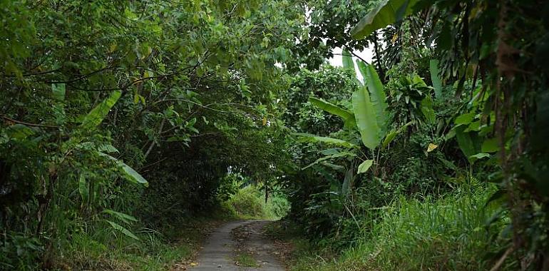Dos jóvenes de 20 y 22 años son rescatados tras perderse durante una ruta nocturna en El Fitu