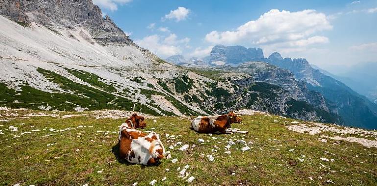 Asturias Ganadera reclama soluciones ante la falta de agua en los montes