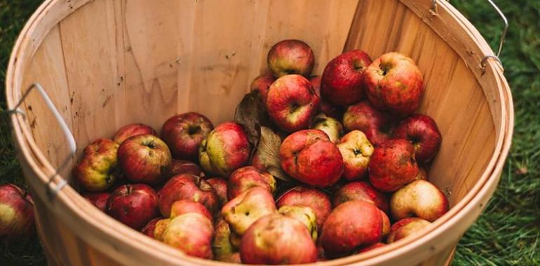 Gijón se prepara para celebrar la XXXV Fiesta de la Sidra Natural, una de las grandes citas del verano asturiano
