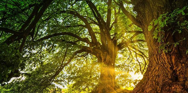 Asturias encara la última semana de agosto con el turismo de naturaleza como uno de sus grandes atractivos