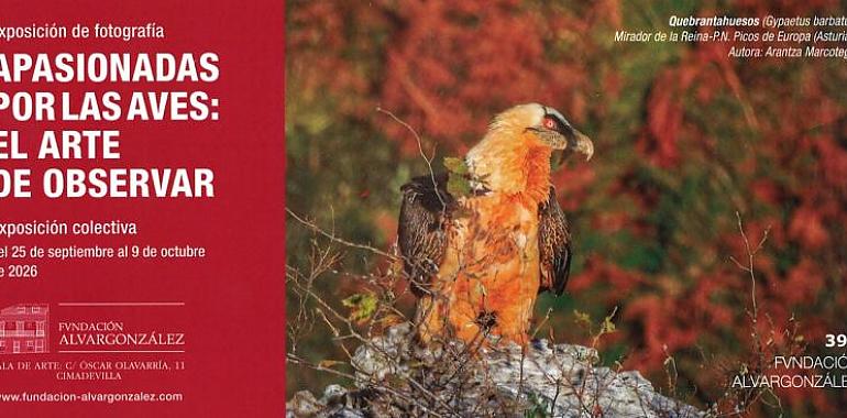 Seis mujeres, seis miradas y miles de kilómetros de viaje: Gijón convierte a las aves migratorias en protagonistas