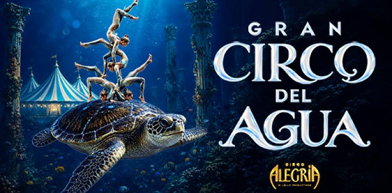 El agua se convierte en pista de circo: Madrid estrena un espectáculo inmersivo para toda la familia desde 12 euros