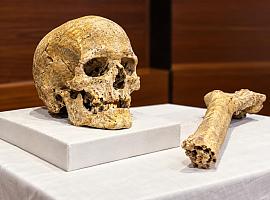 El hombre que vivía del mar hace 8.000 años: una cueva de Llanes reescribe la prehistoria de Asturias